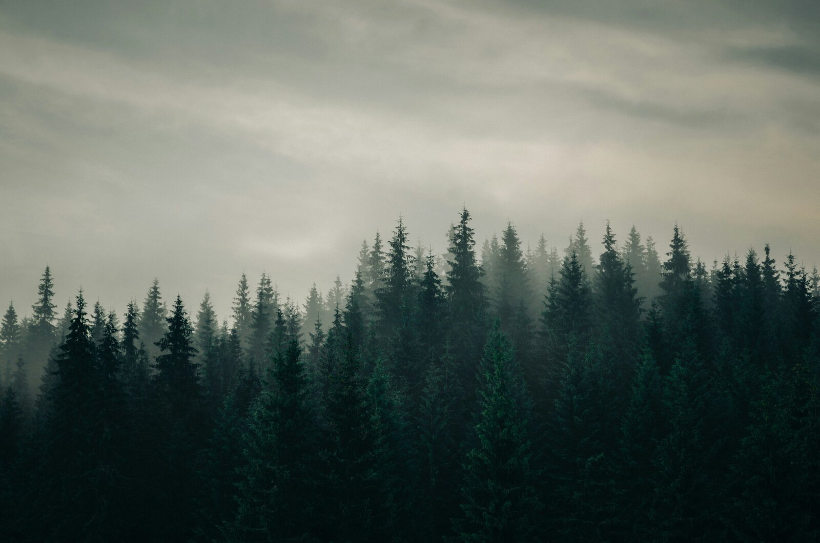 haseeb-jamil-J2jtcRbiL-4-unsplash
