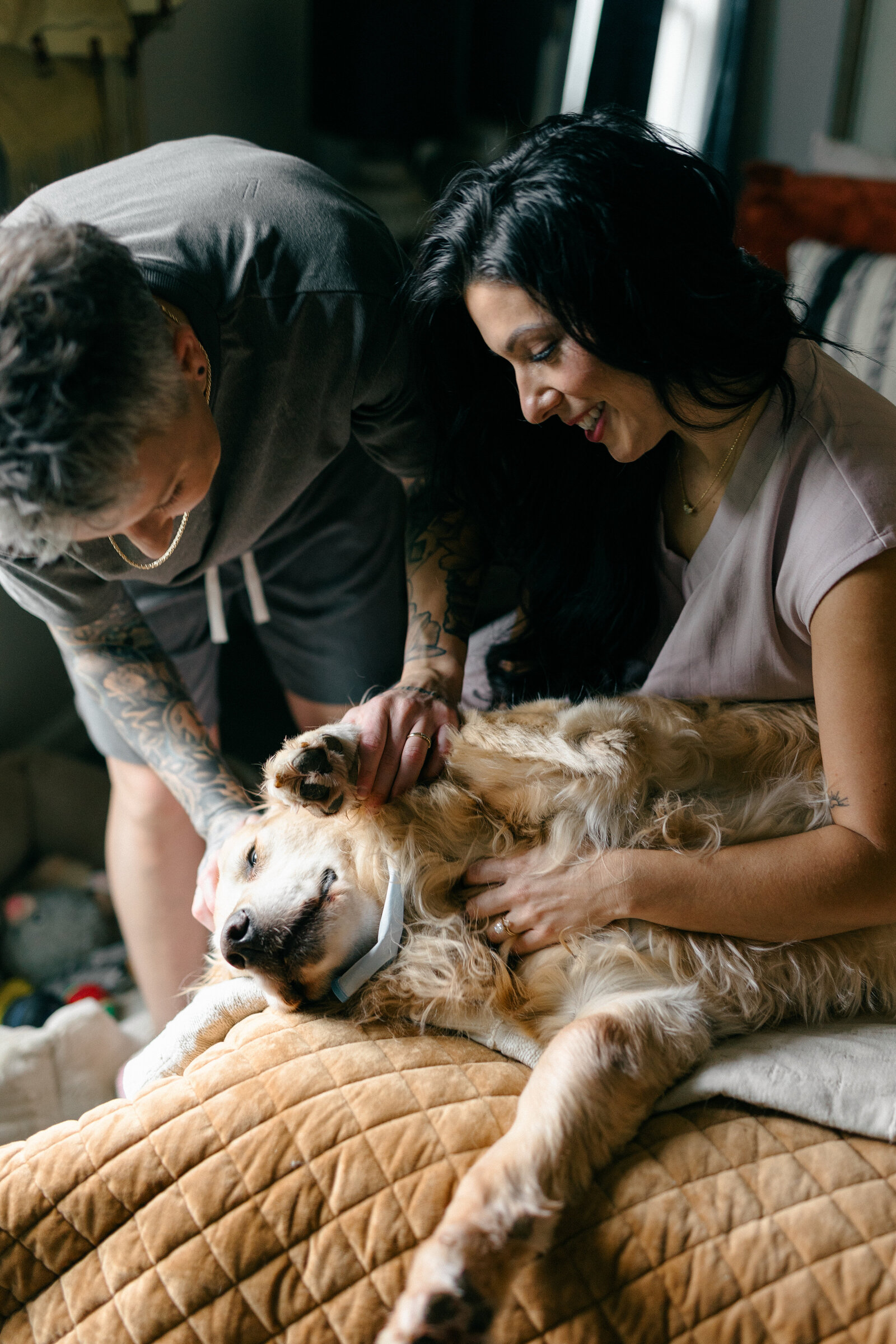 in home dog session okc