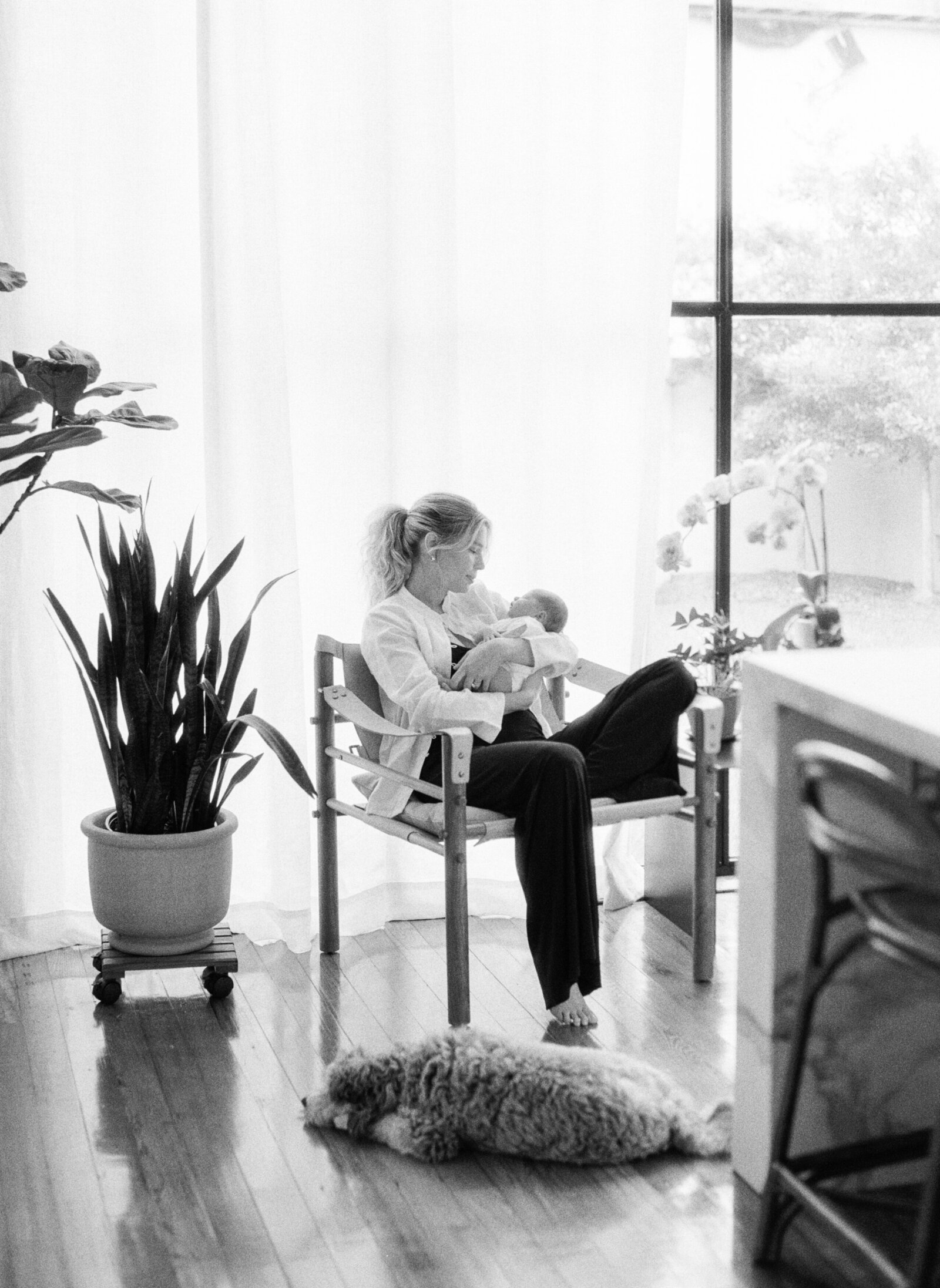 paris-apartment-newborn