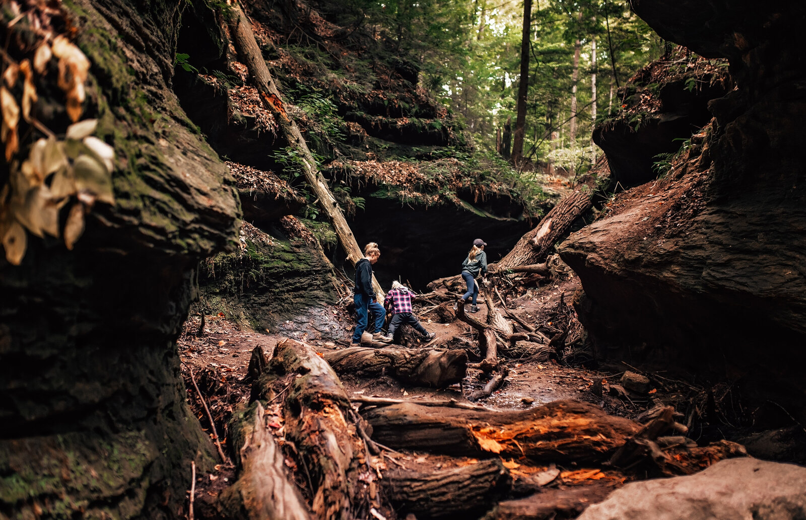 TurkeyRun-