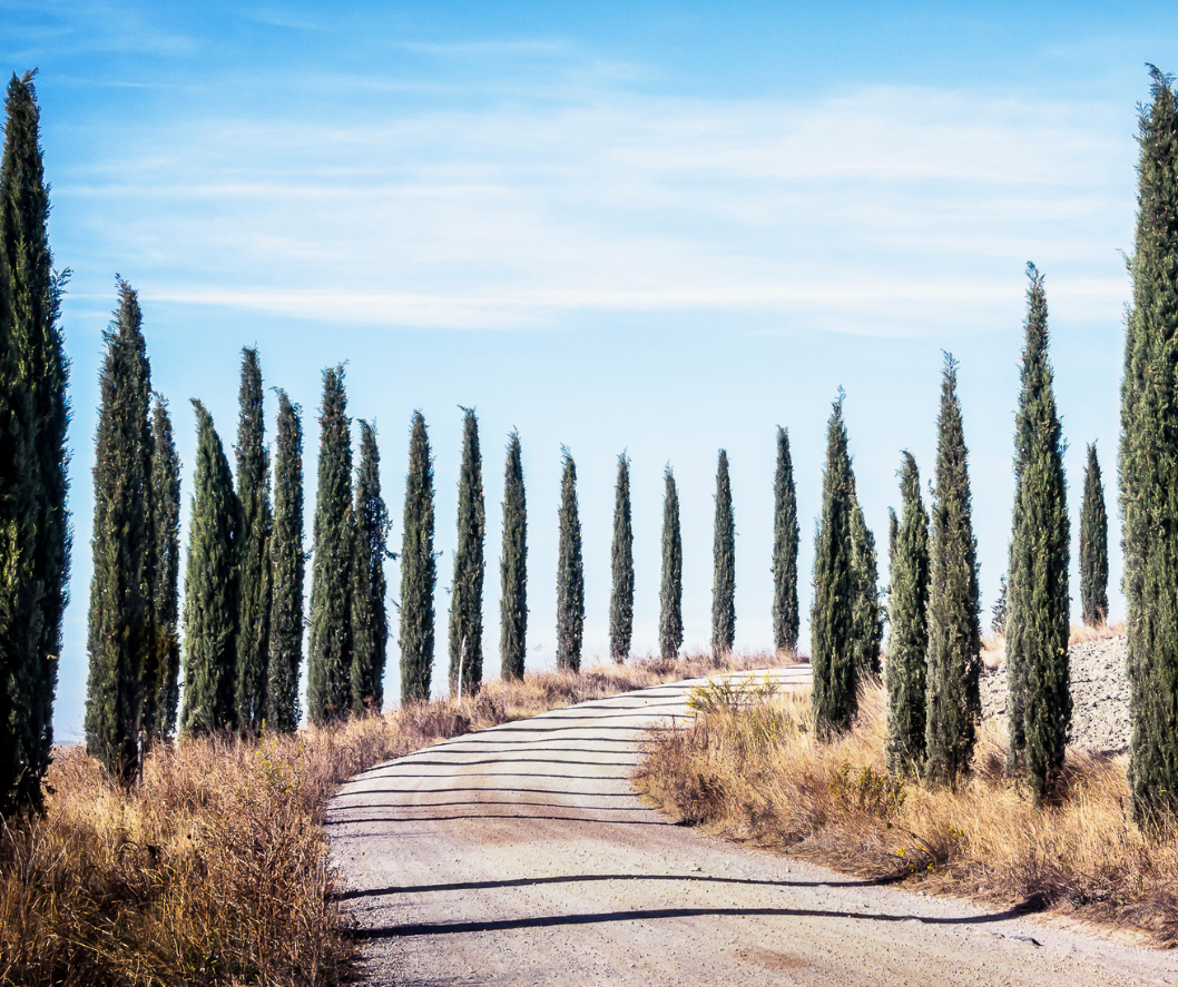 tuscan road