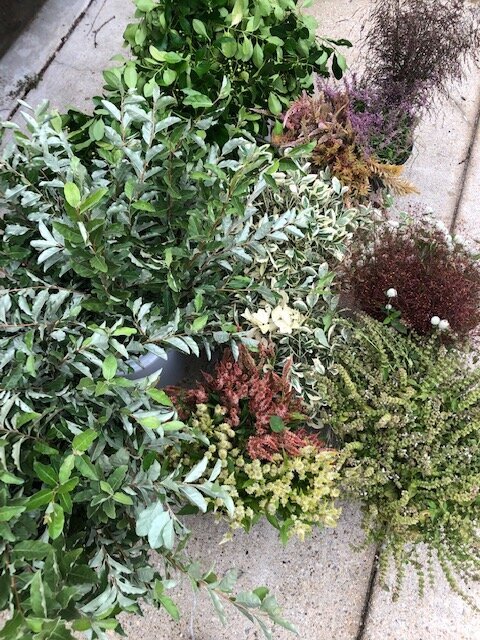QBR Foliage1