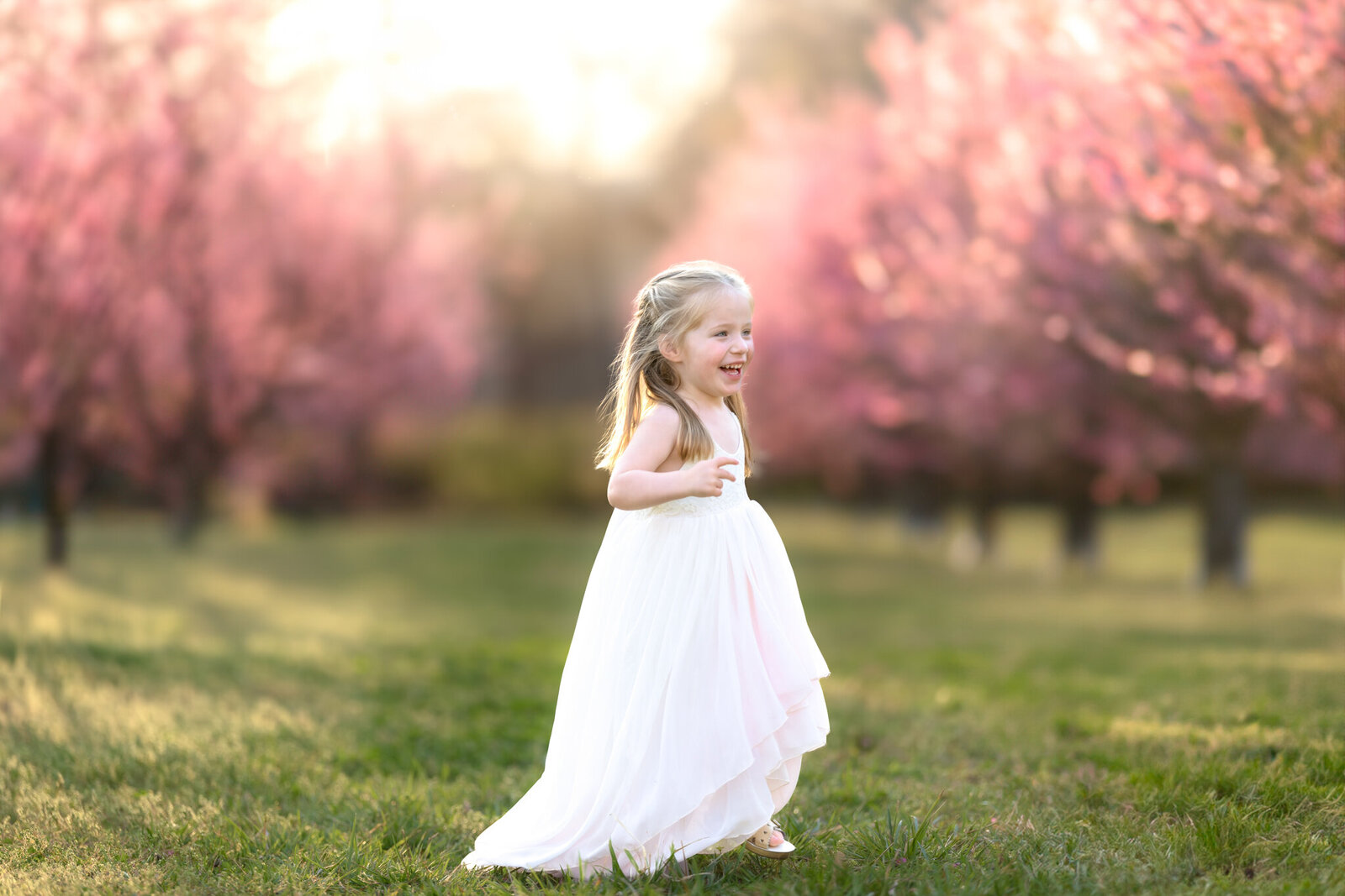 Raleigh-family-photographer-2025-618