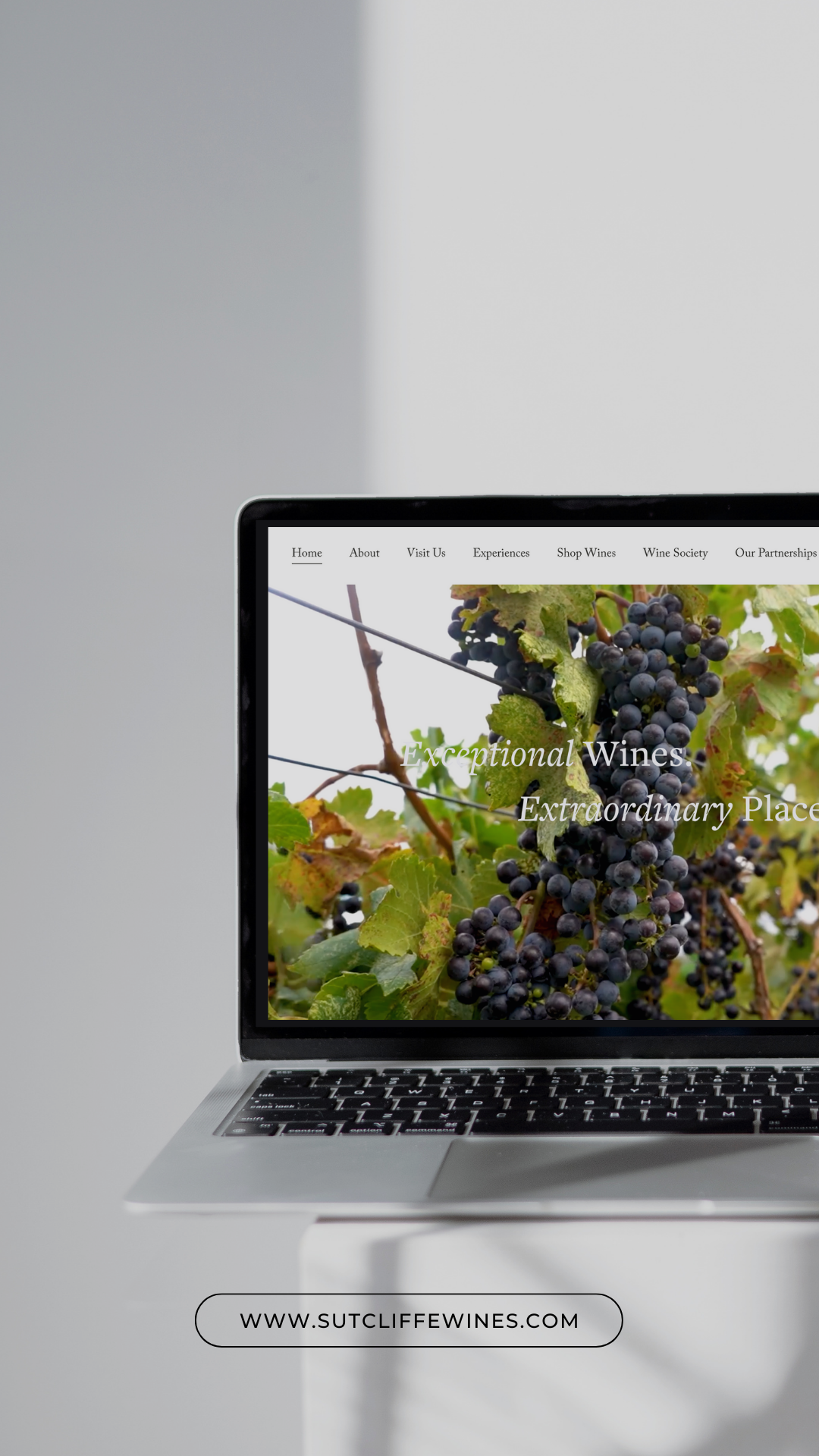 Grey Black Modern Website Laptop Mockup Instagram Story