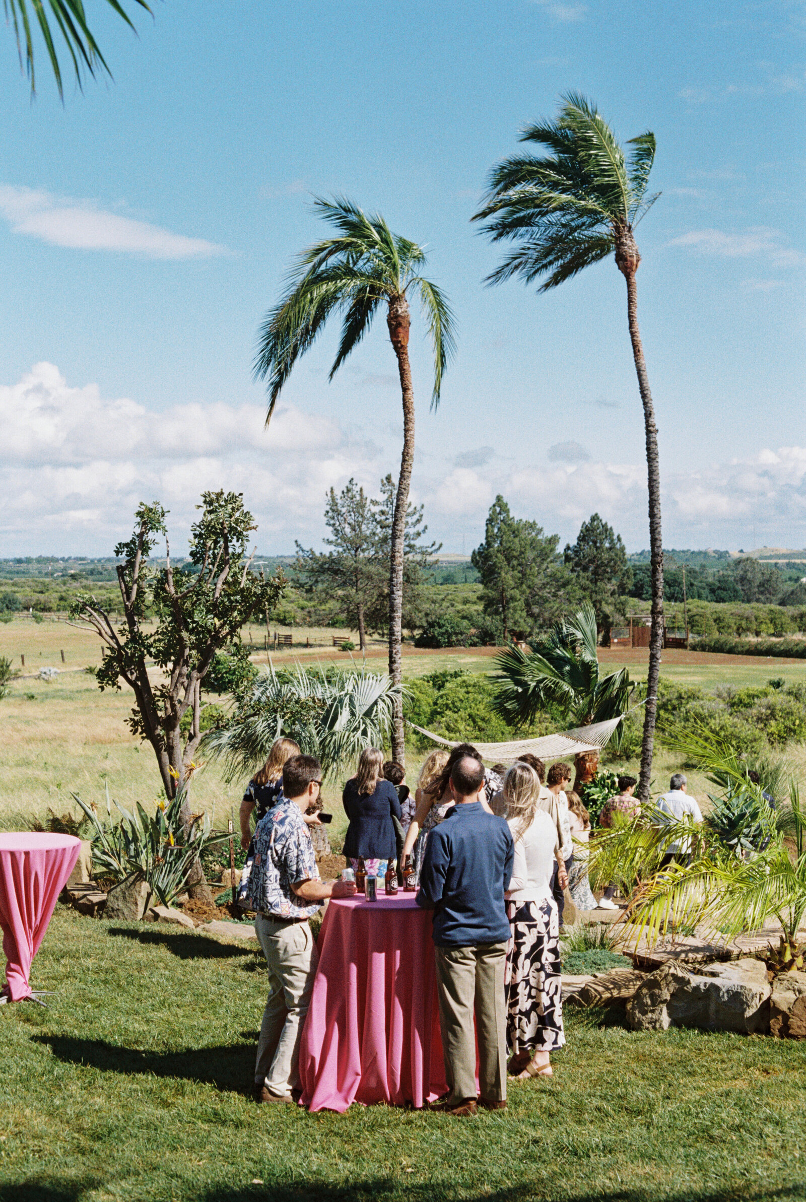 Northern-California-LGBTQ-wedding-photographer