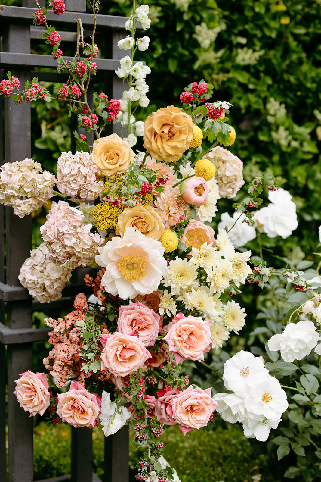 imanleeevents-ranchobernardoweddings-sandiegoweddingplanner-sandiegoweddingvenuesHillarieDan_Wedding_RanchoBernardoInn (254 of 812)