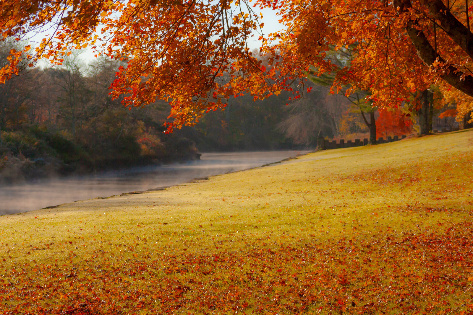 Autumn Mist