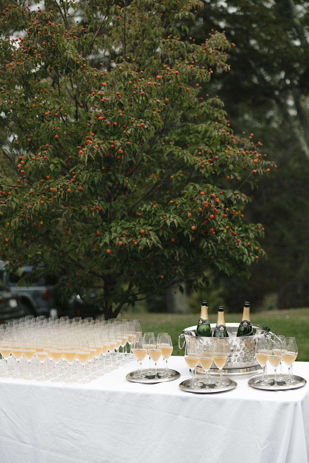 Mayflower-Inn-Garden-Tented-Wedding 45