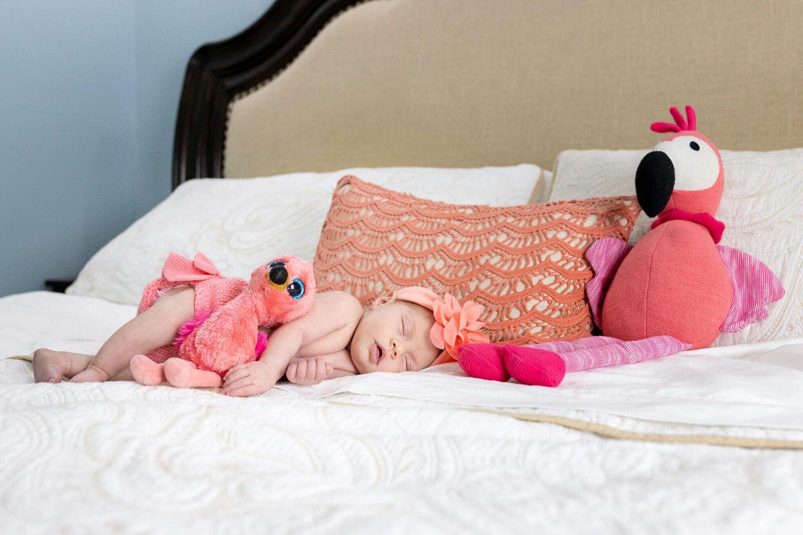 An Alexandria newborn session of a baby girl dressed like a pink flamingo.