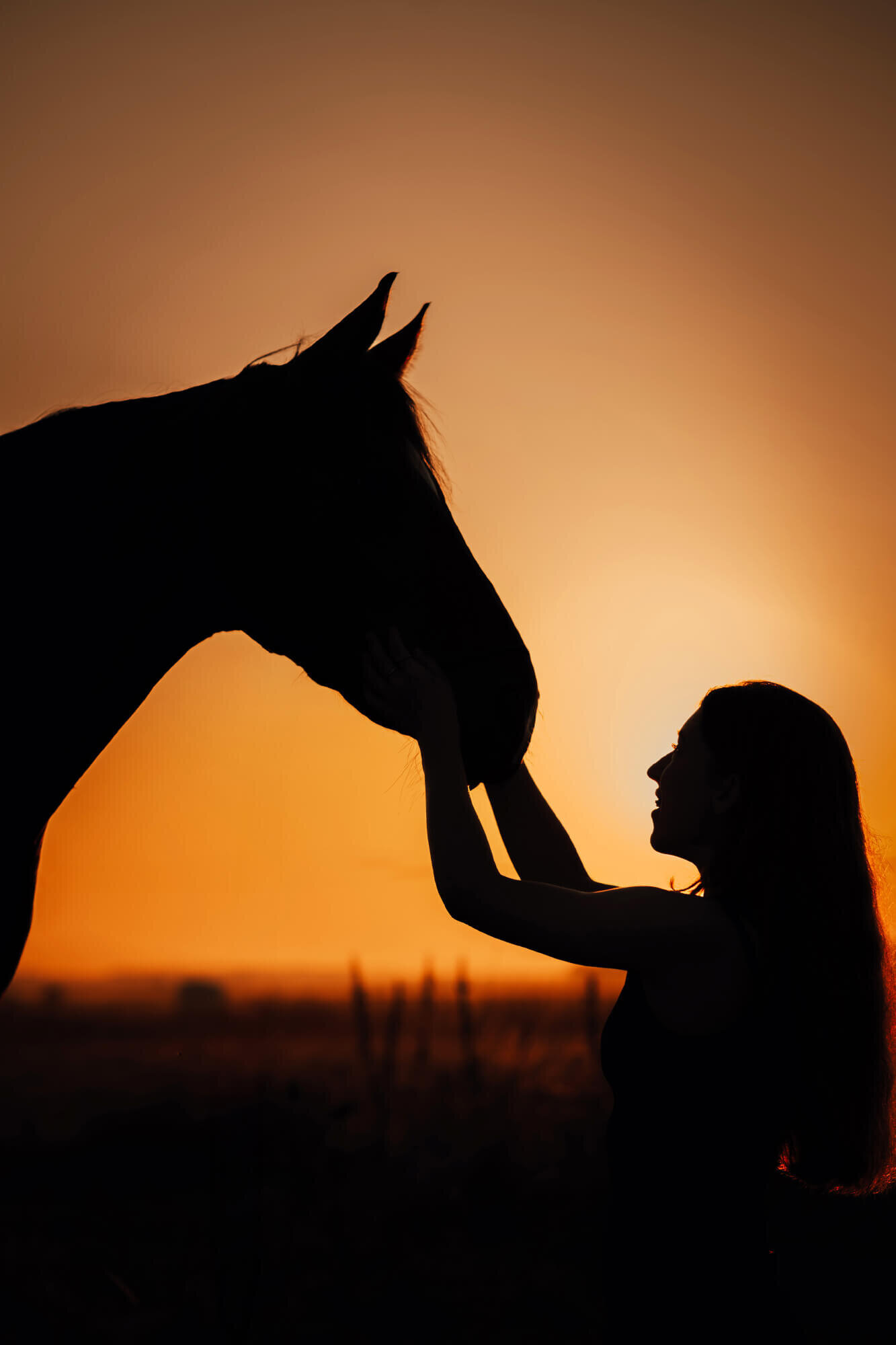 JNSW-Paard-Eigenaar-Zonsondergang