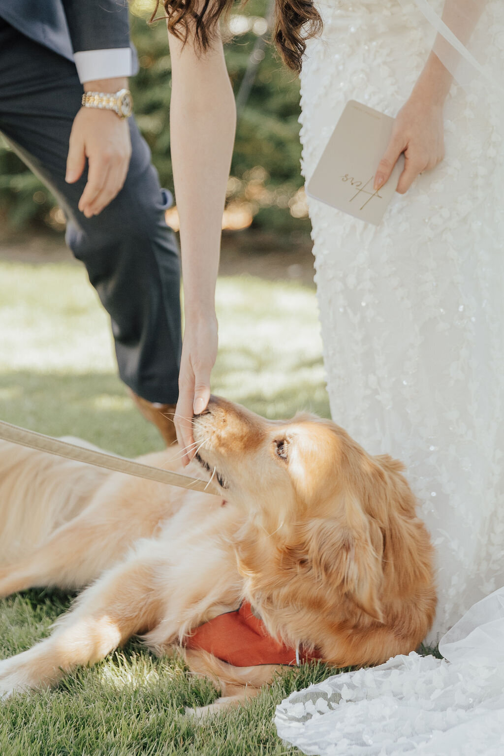 Machias-Meadows-wedding-snohomish-washington-rachel-syrisko-photography-K&T-257