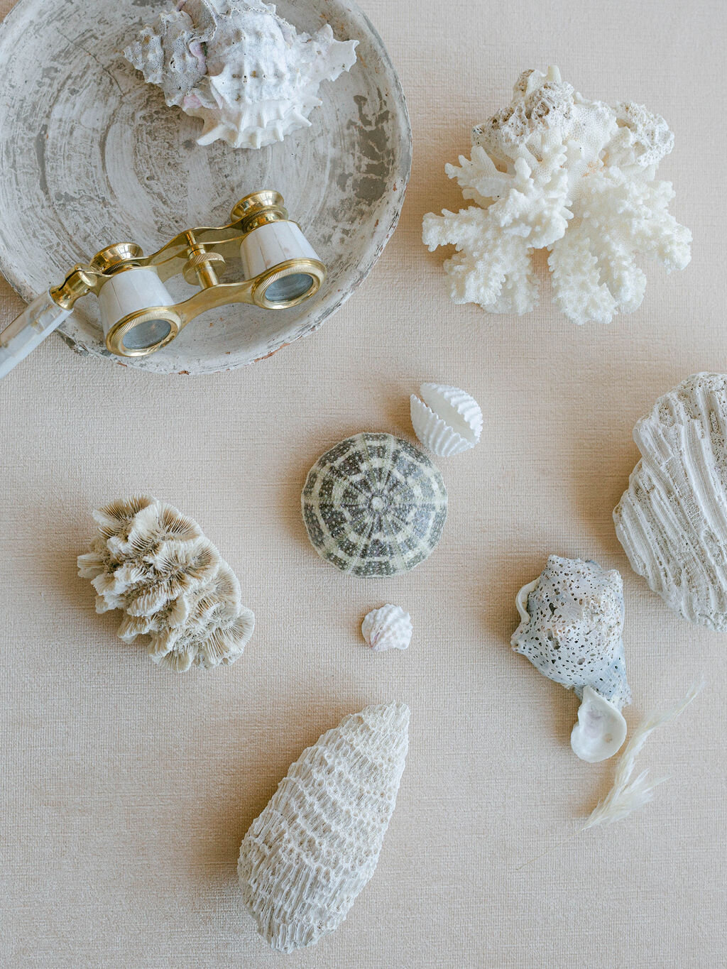 shells for Destination wedding weekend at Kaiya Beach Resort