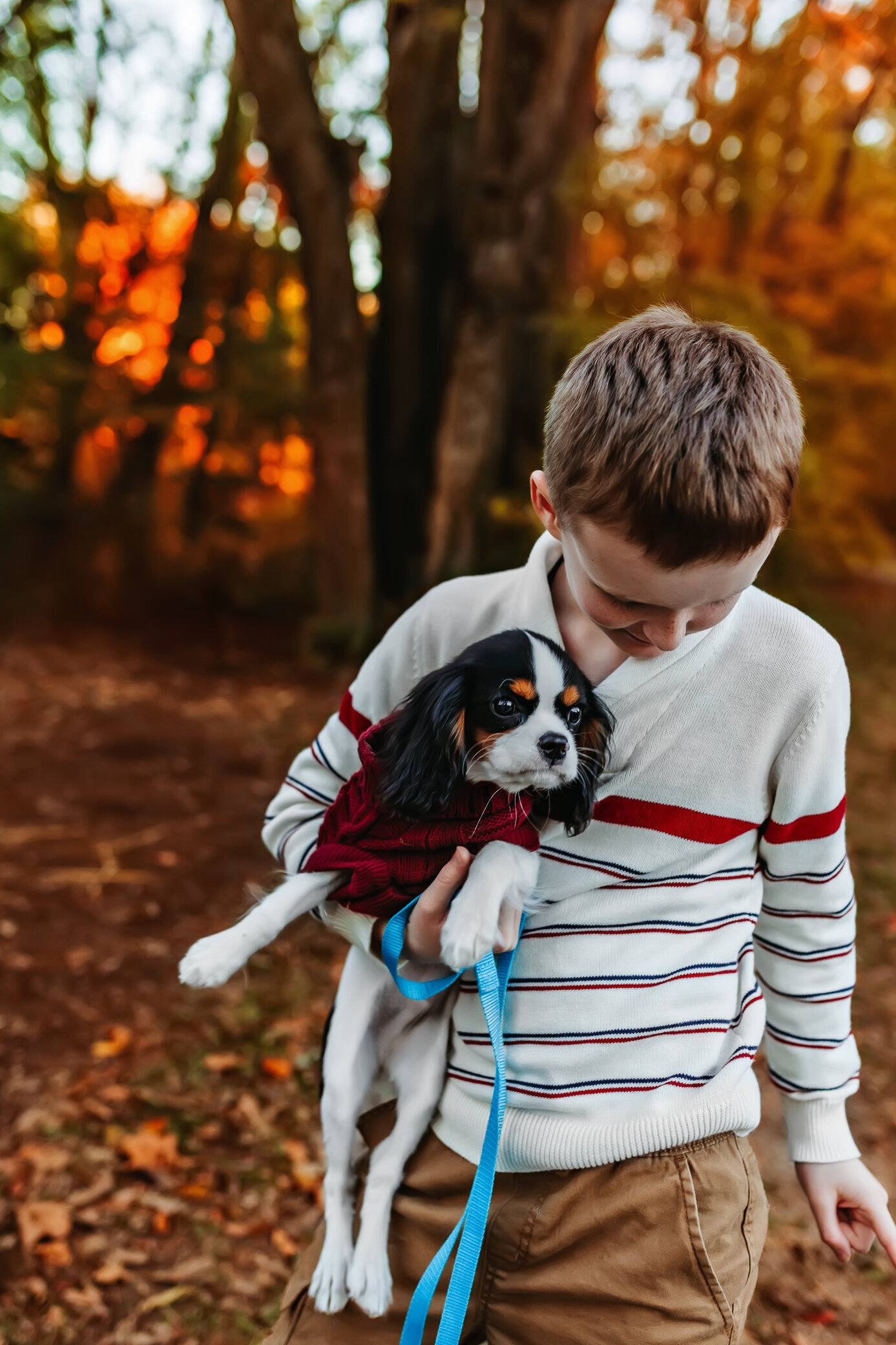 fall-family-photography-nightingale-and-willow-photography-potters-bridge-noblesville (145 of 206)