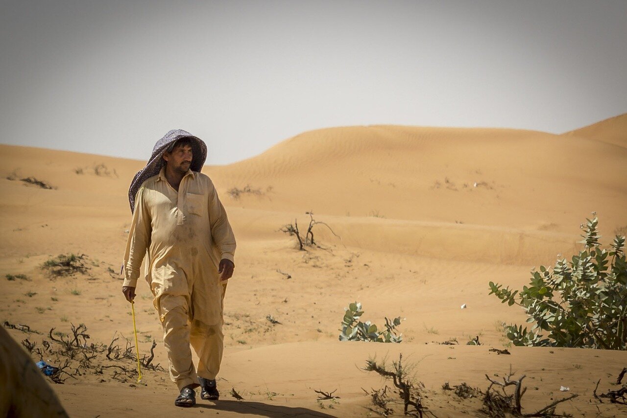 desert-2254476_1280