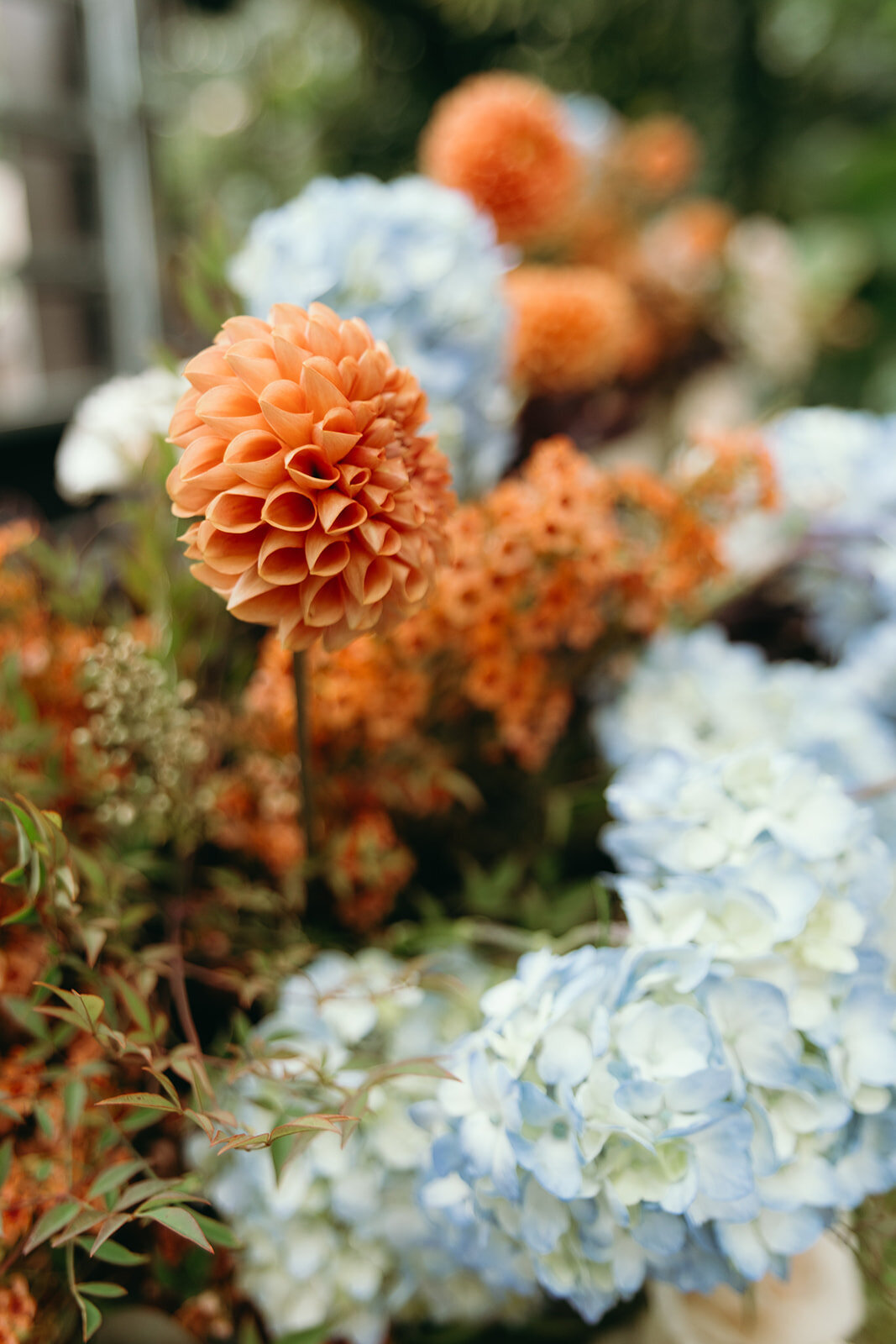 imanleeevents-sandiegoeventplanner-sandiegopartyplanner-sandiegobotanicgardens20241004_16_38_48