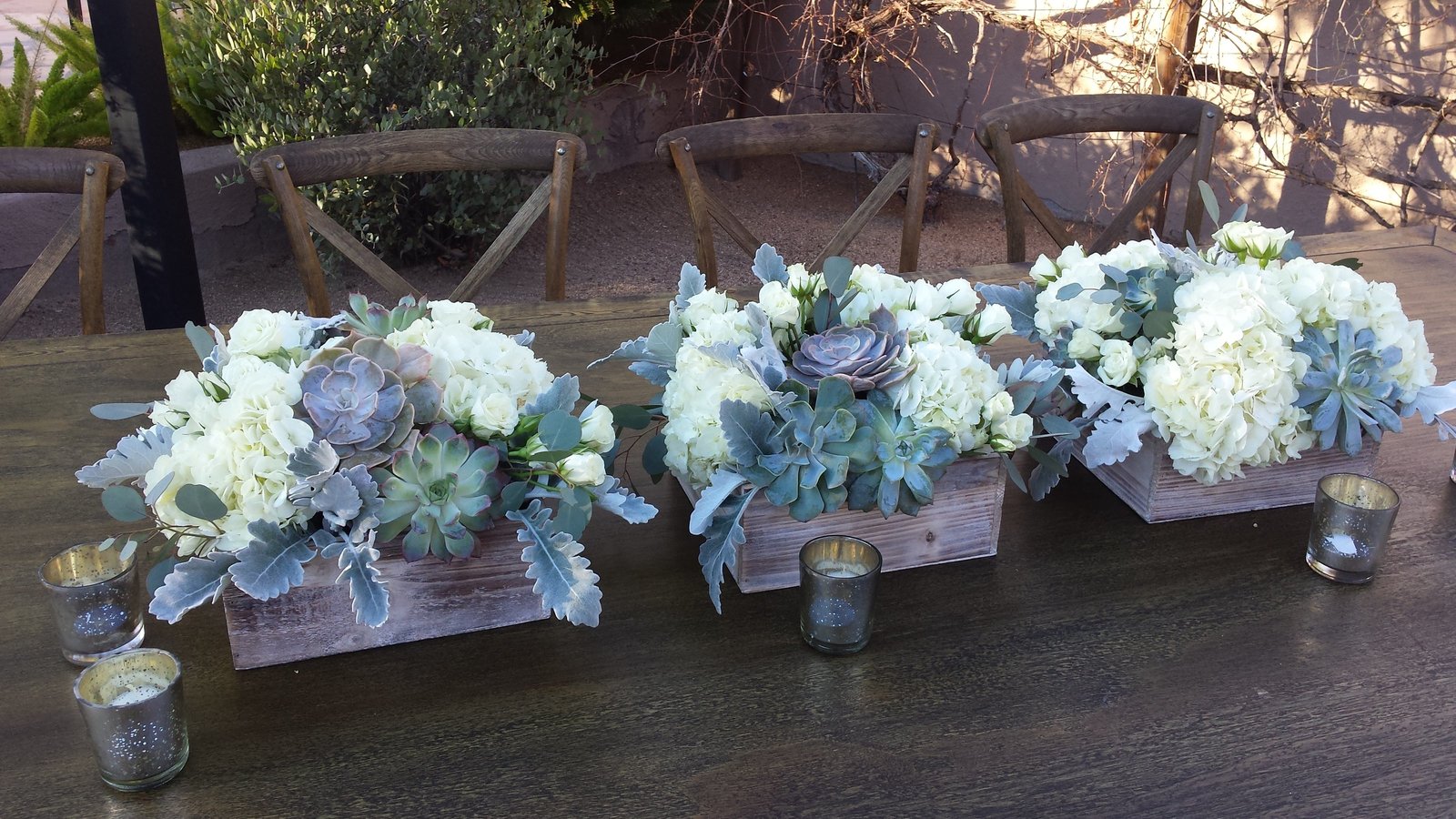 YEF_Succulents and White Hydrangea in Box