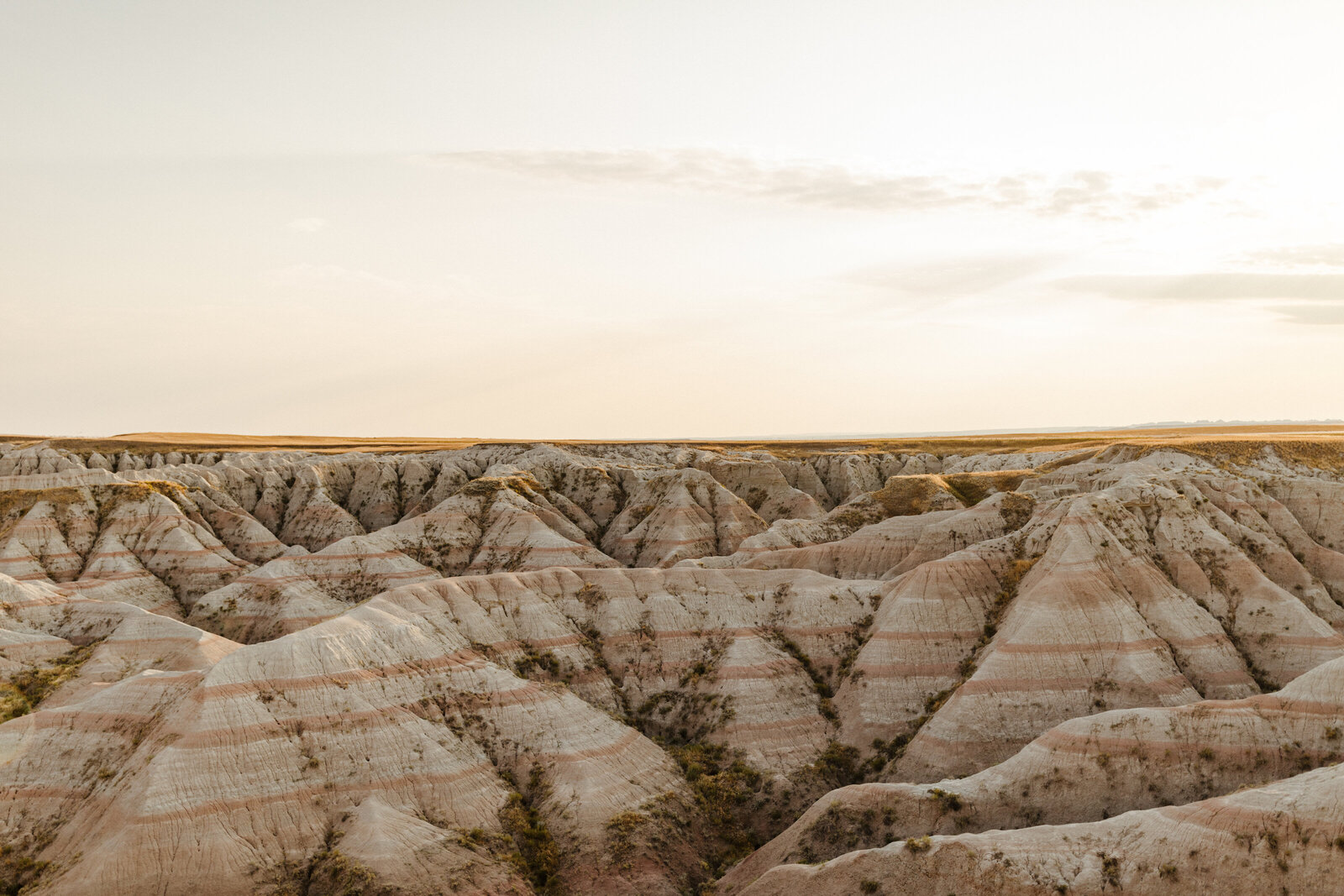 South Dakota Landscape