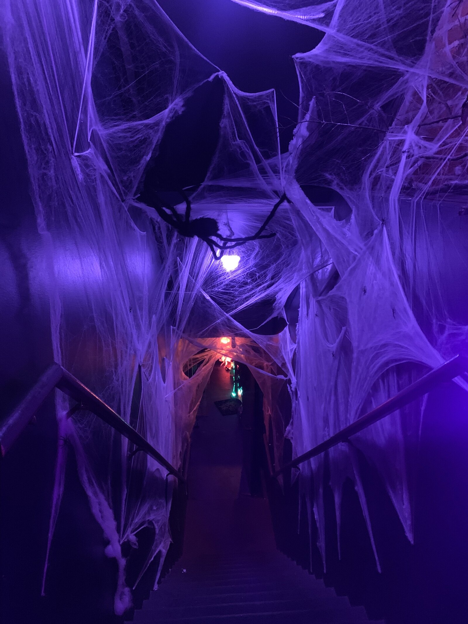 Spider web halloween decor