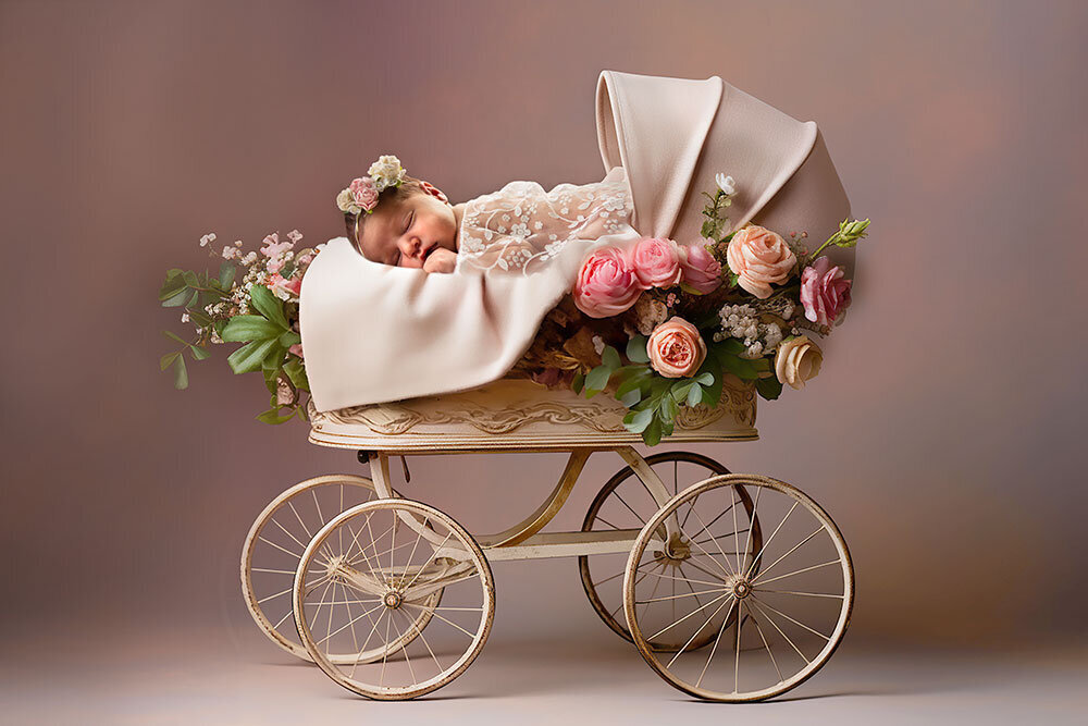 vintage-newborn-carriage-timeless-elegant-pink-flowers-heirloom-photography-best-baby-picture