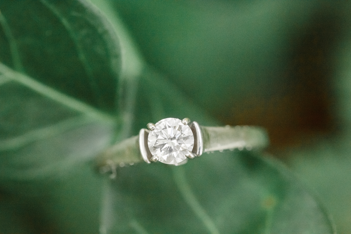 i-va-park-enagement-ring-portrait