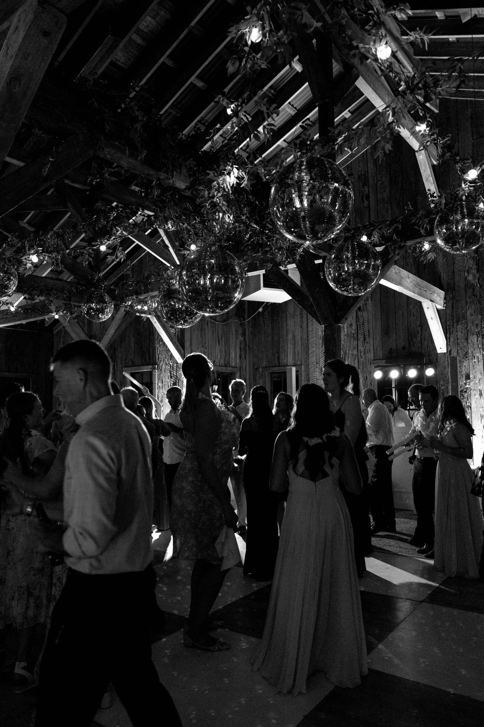 rachel maloney photography -- -1-12