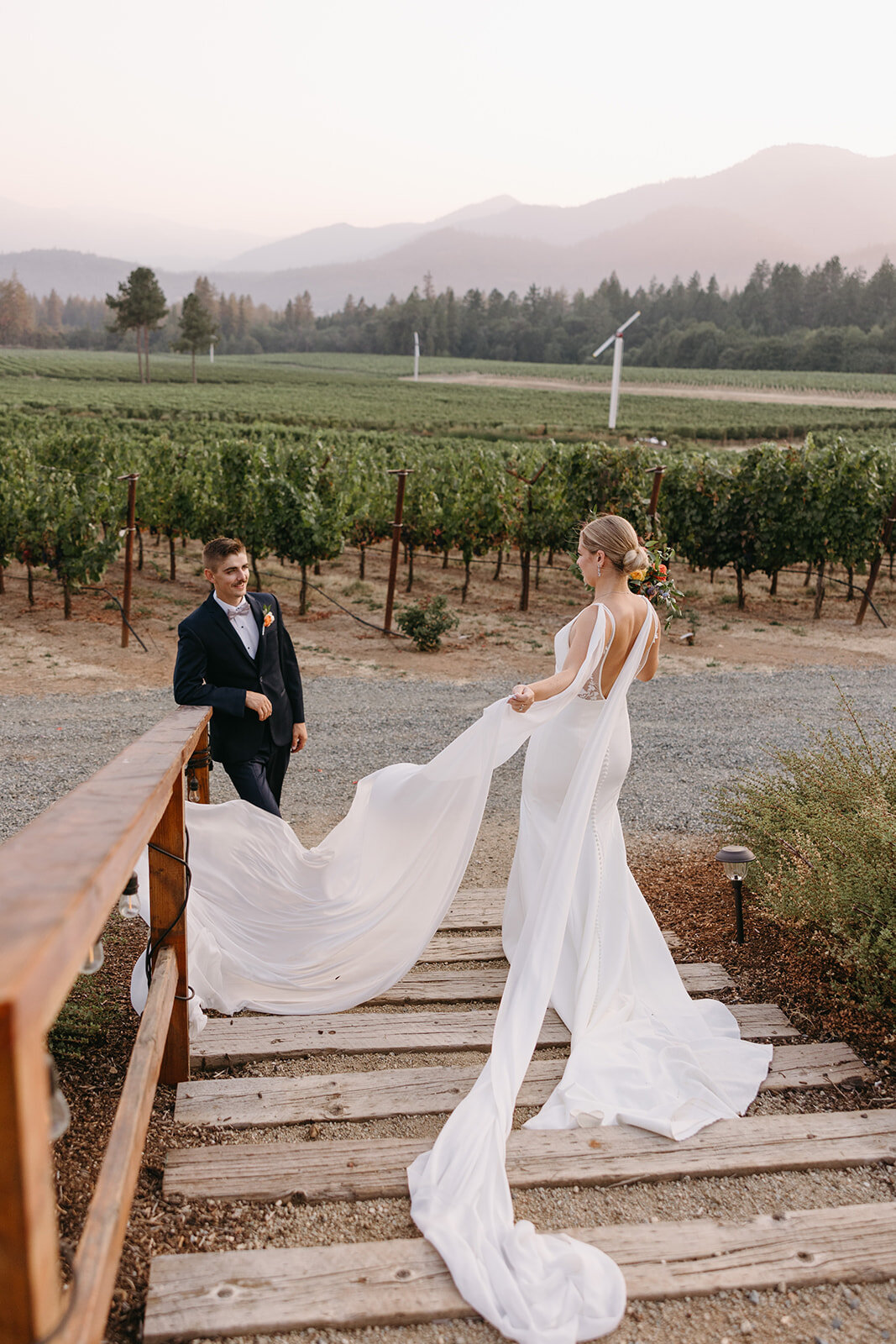 wedding day in a vineyard