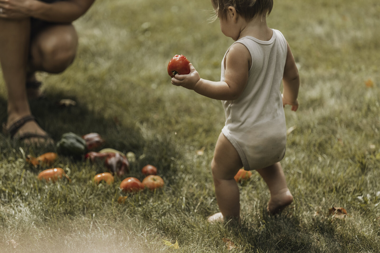 HealthfortheHomeWebsiteHeader