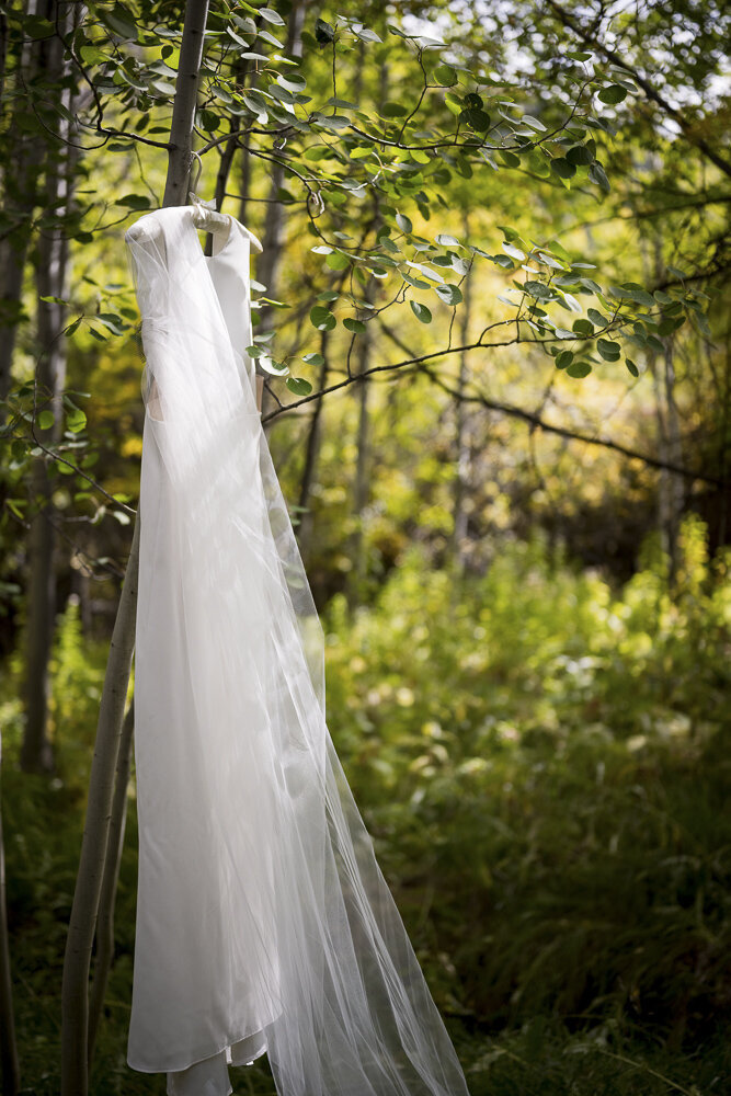 wedding dress hanging from aspen tree