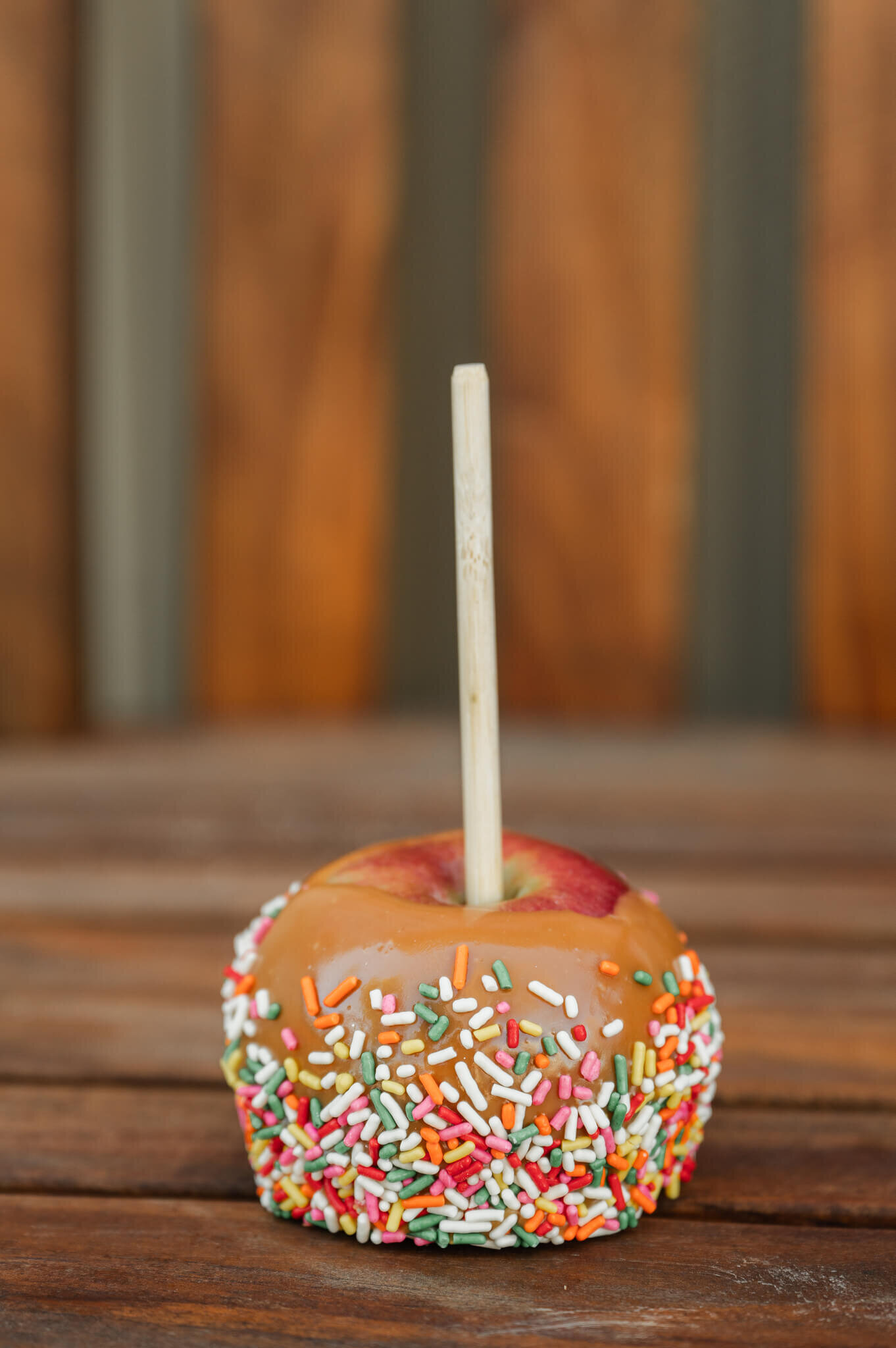 Apple-Cider-Donuts-Richland-Center-Wisconsin-52