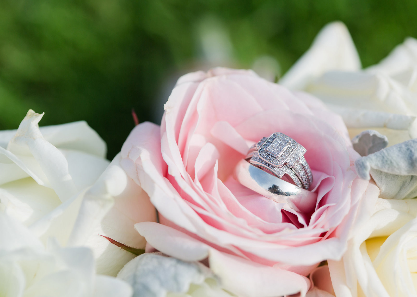 adorlee-0241-southend-barns-wedding-photographer-chichester-west-sussex