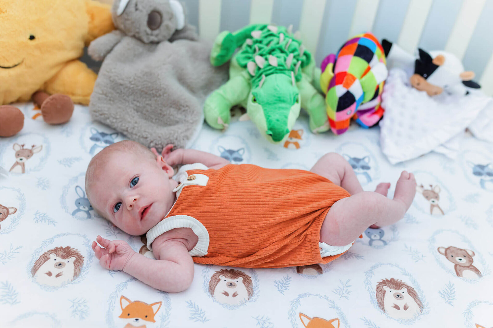 A newborn boy laying in his crib in Burke.