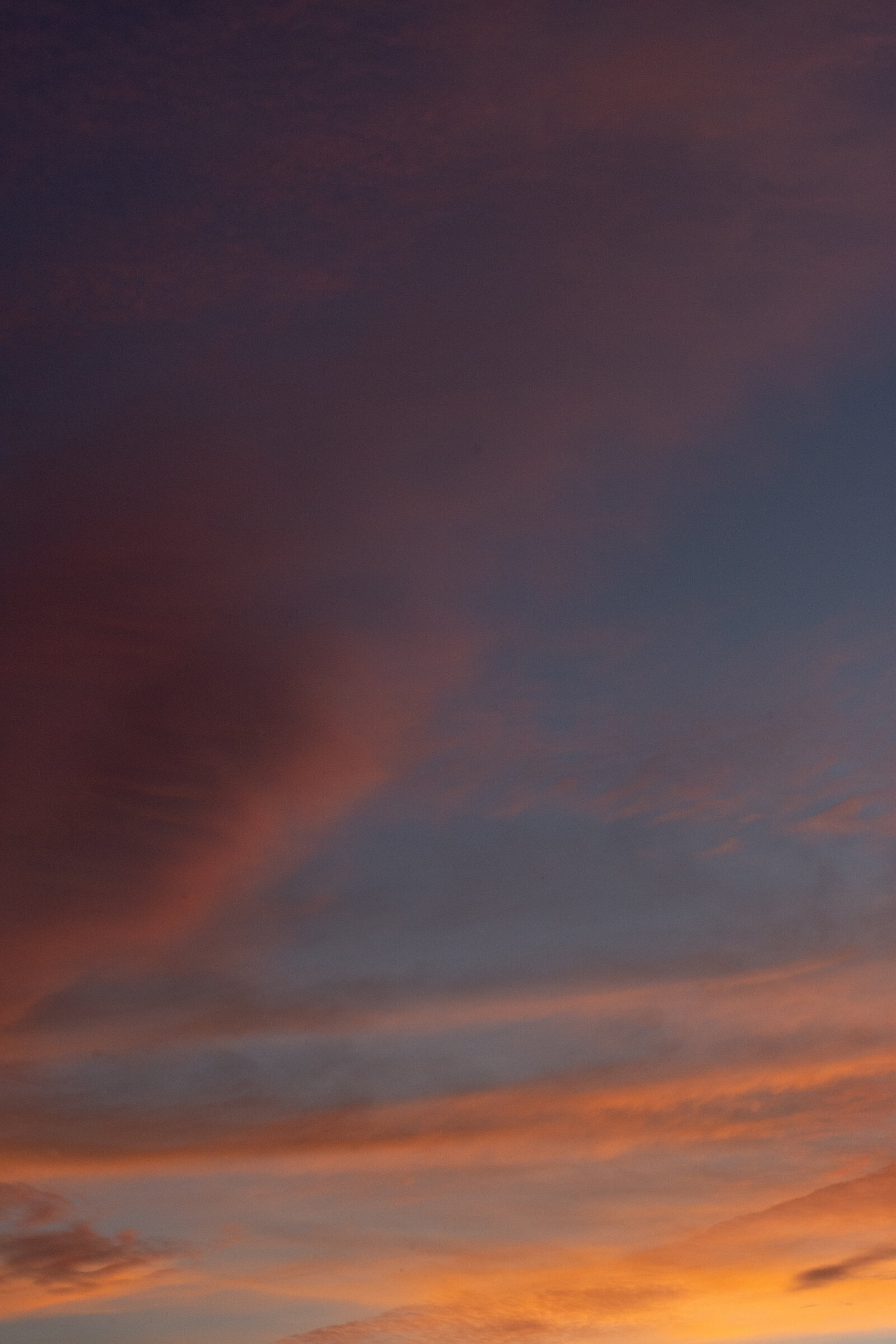 DSC_0976
