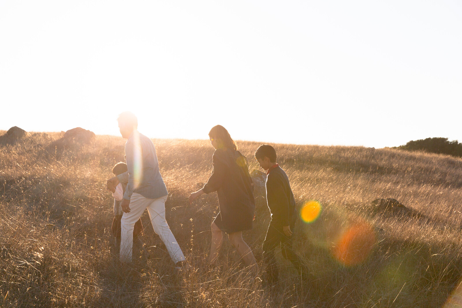 056_families