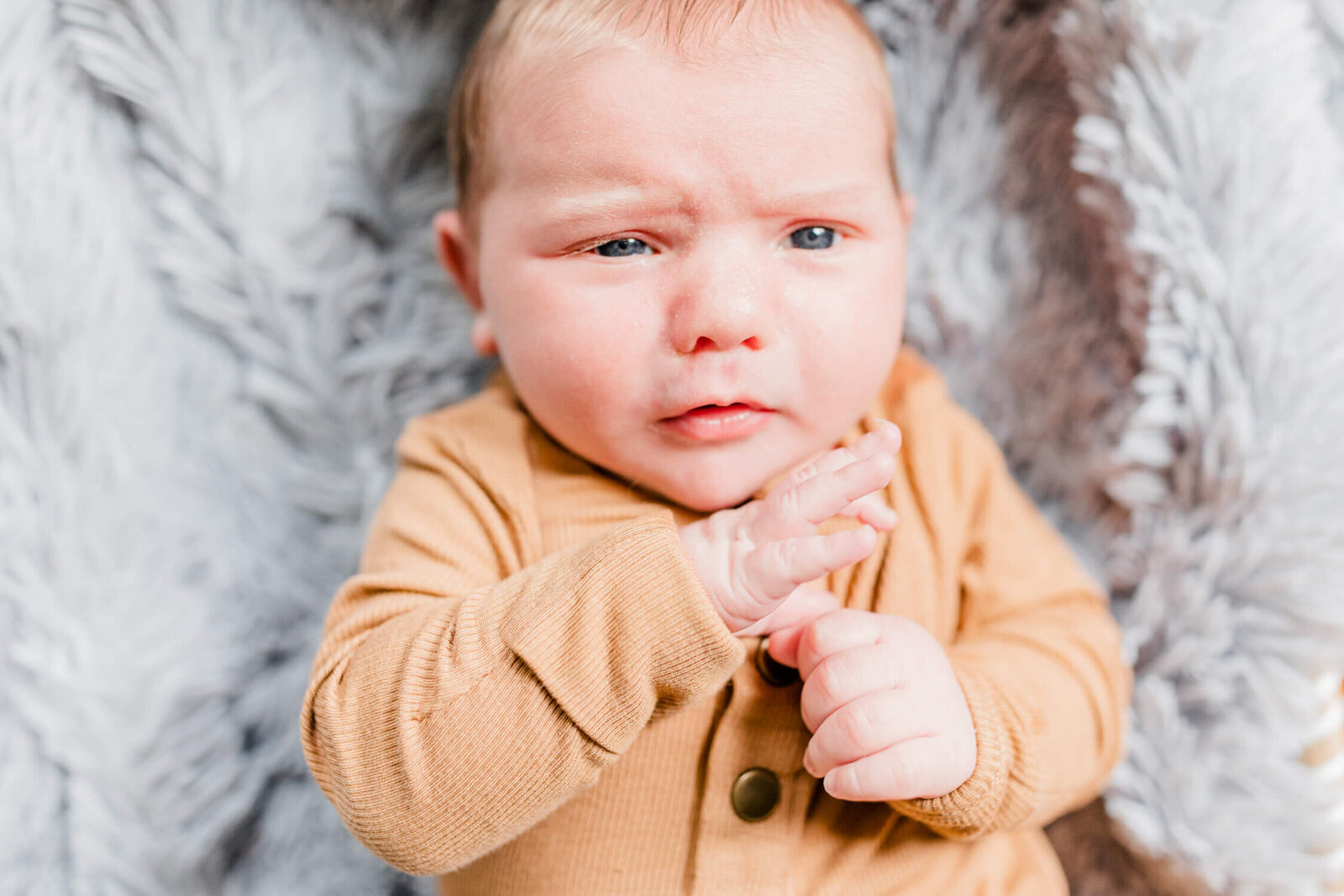 Newborn baby furrows his eyebrows