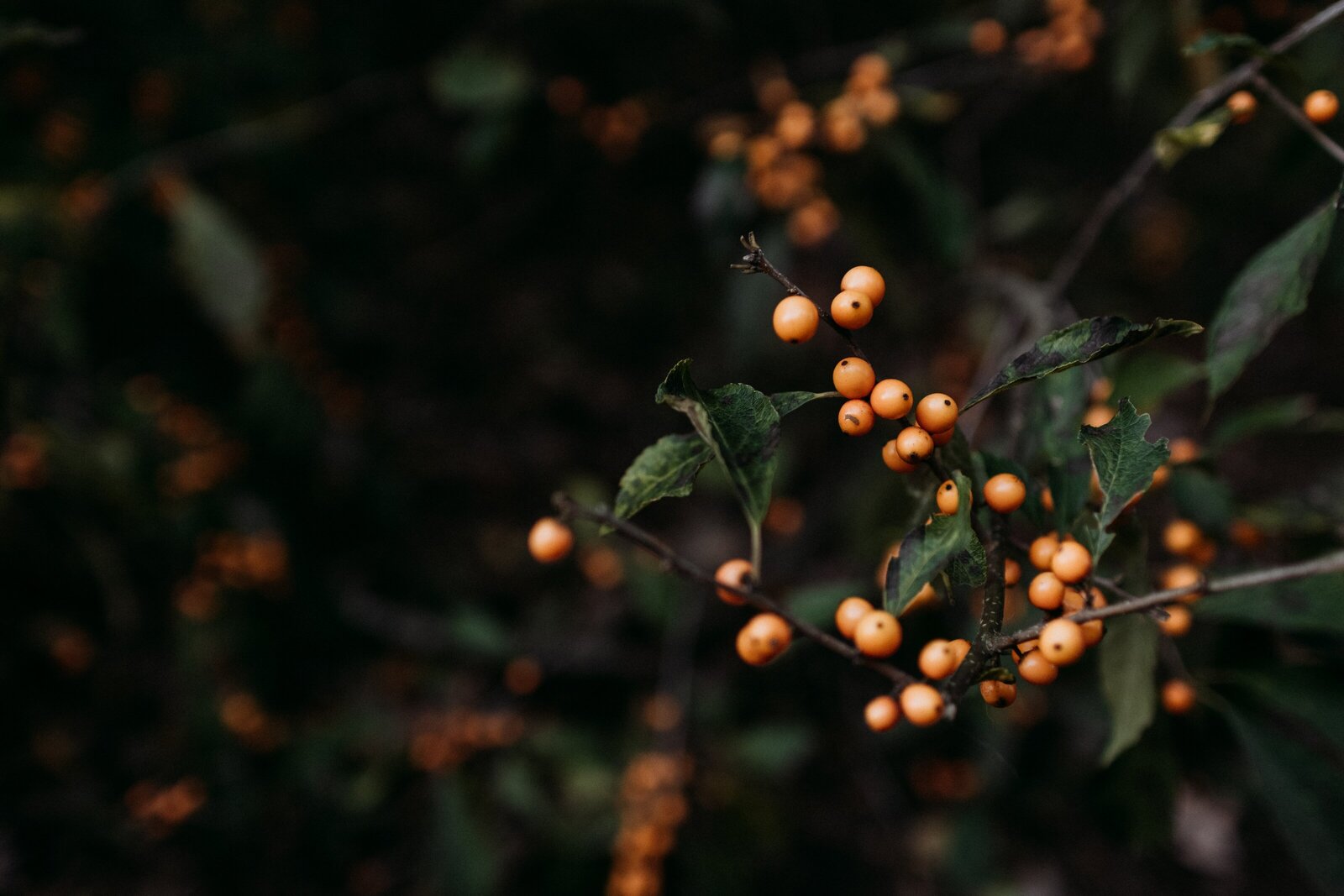 kelly-sikkema-saI-ulXT4ug-unsplash