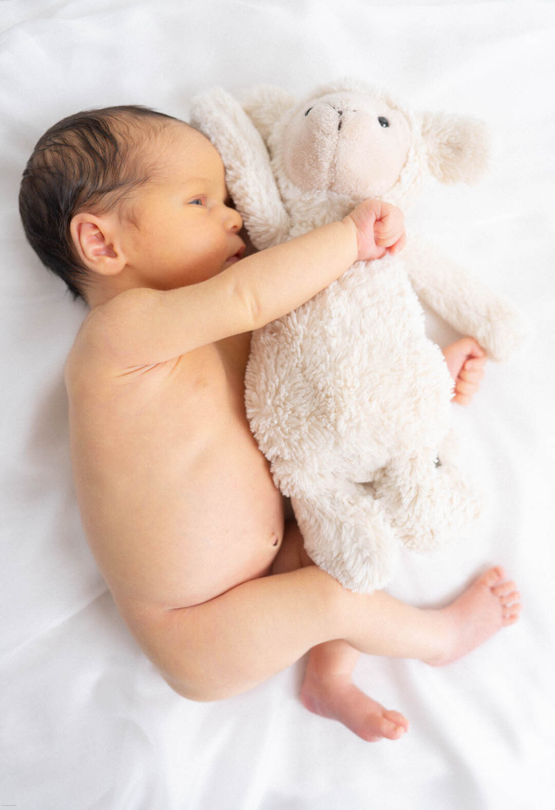 newborn baby cuddling lamb stuffed animal