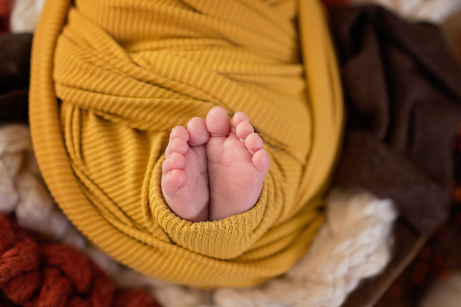 newborn