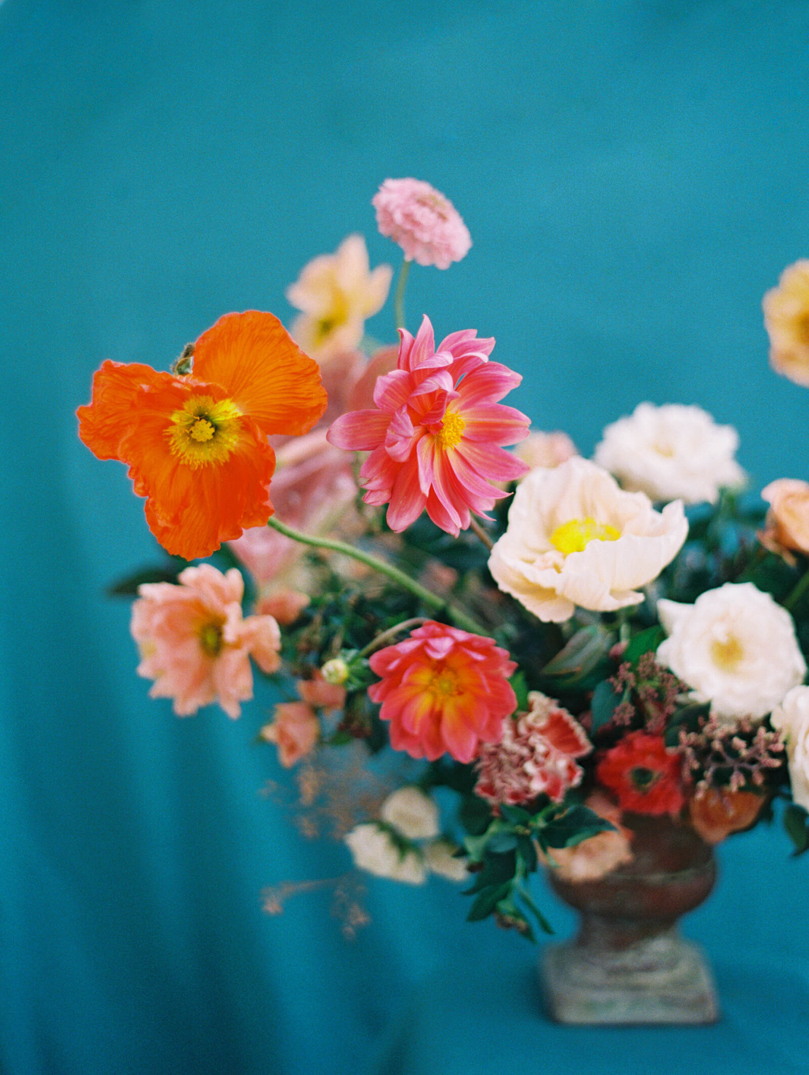 max-owens-design-at-home-floral-arrangements-36-orange-poppies