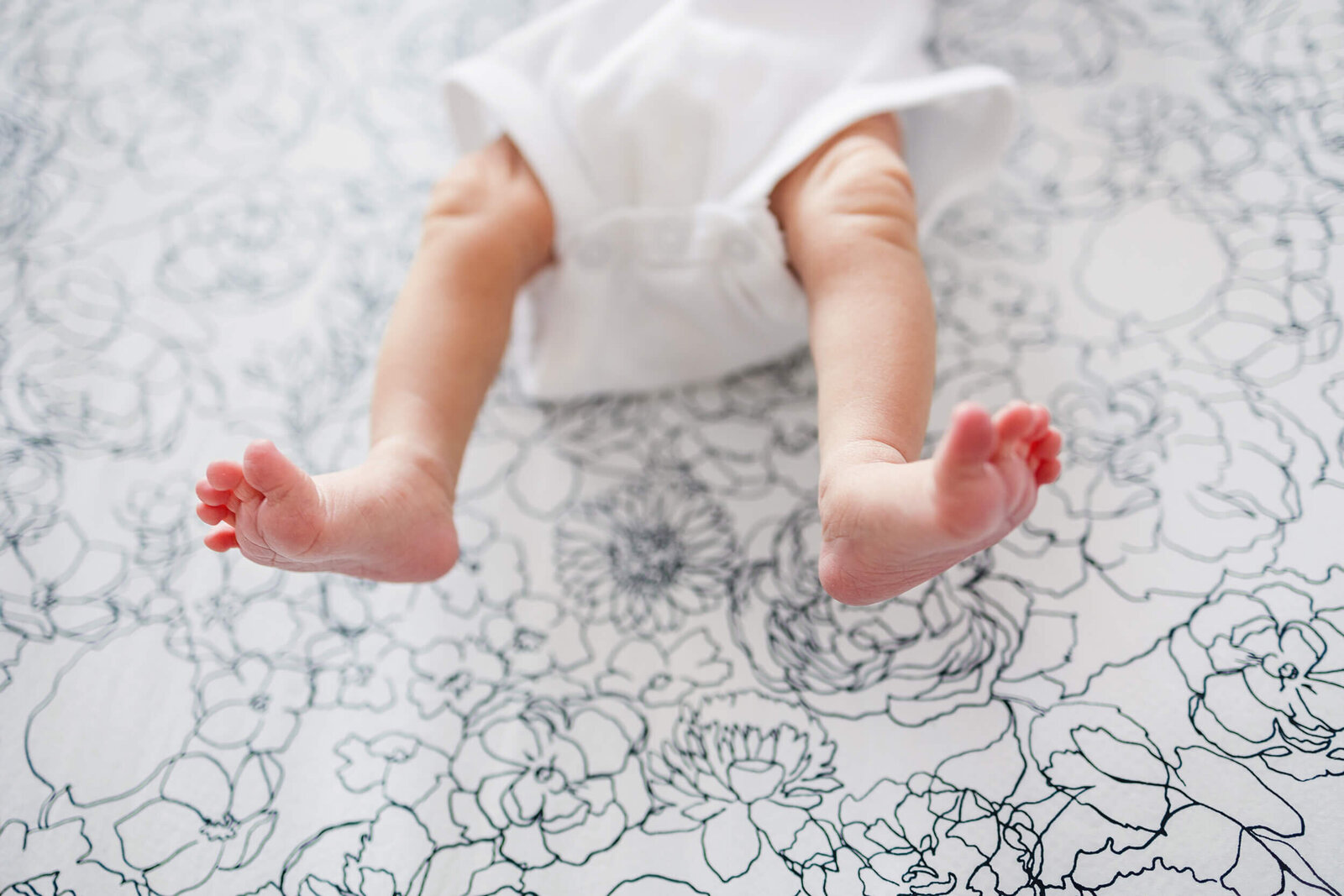 Edina Newborn Photography I Megan Norman Photography