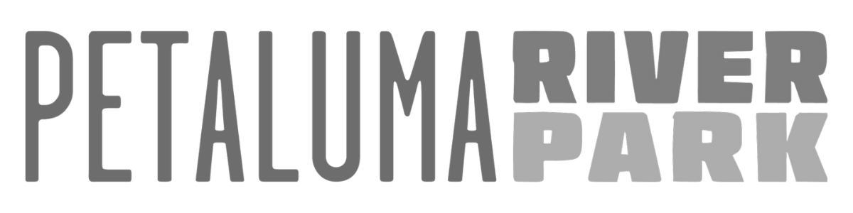 Kimzin Creative (62)