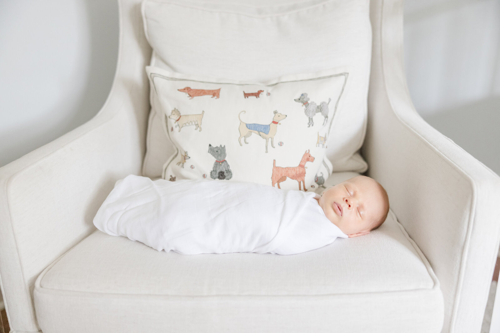Newborn baby laying on a chair with a pillow patterned with dogs behind him.
