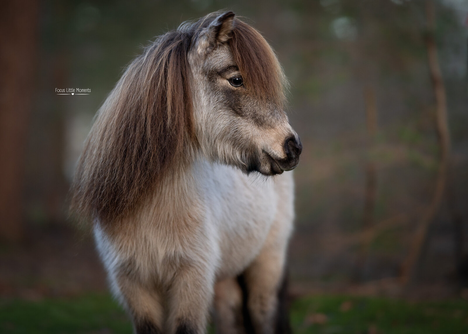 _DSC6341-bewerkt