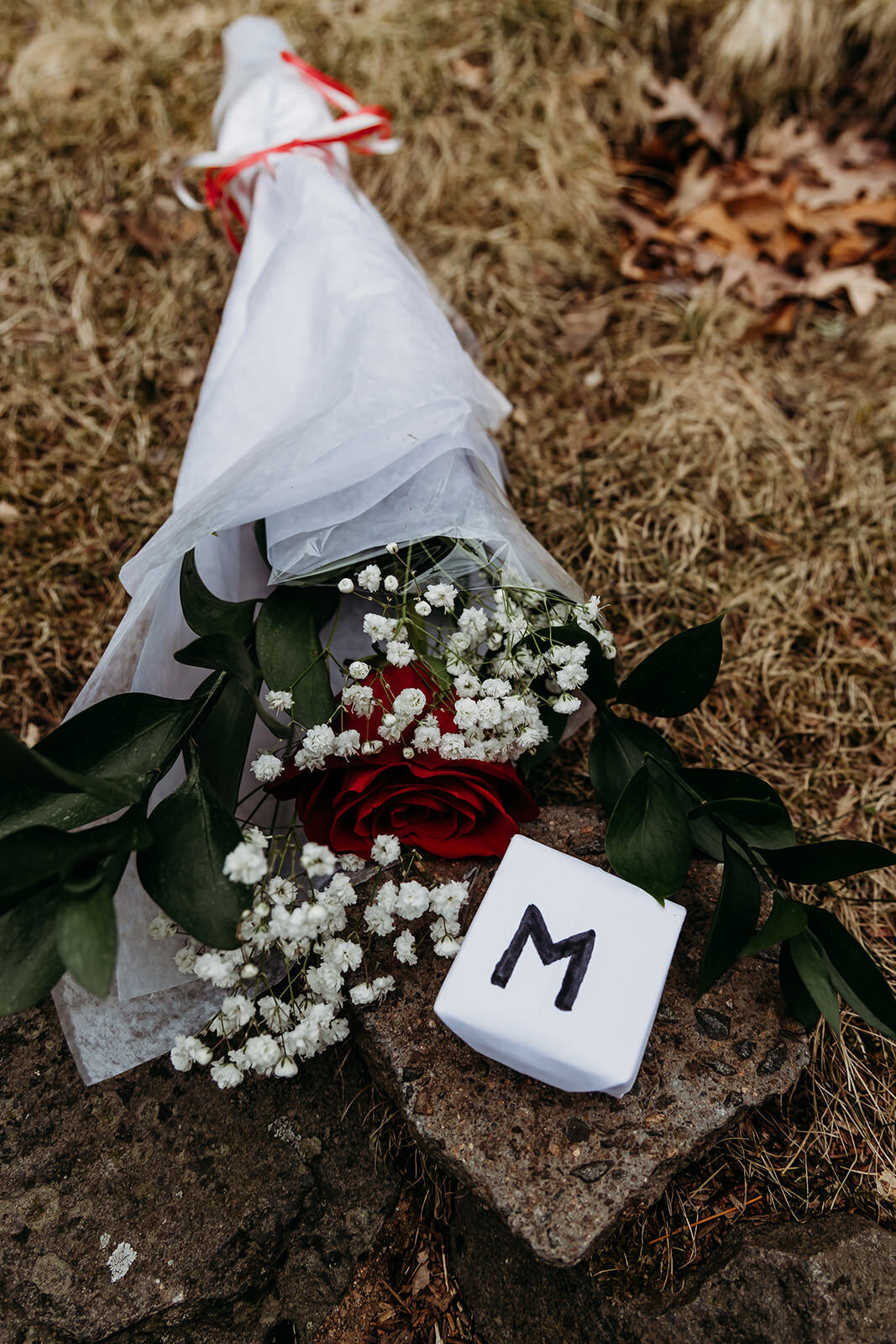 Boston-Engagement-Photography-20