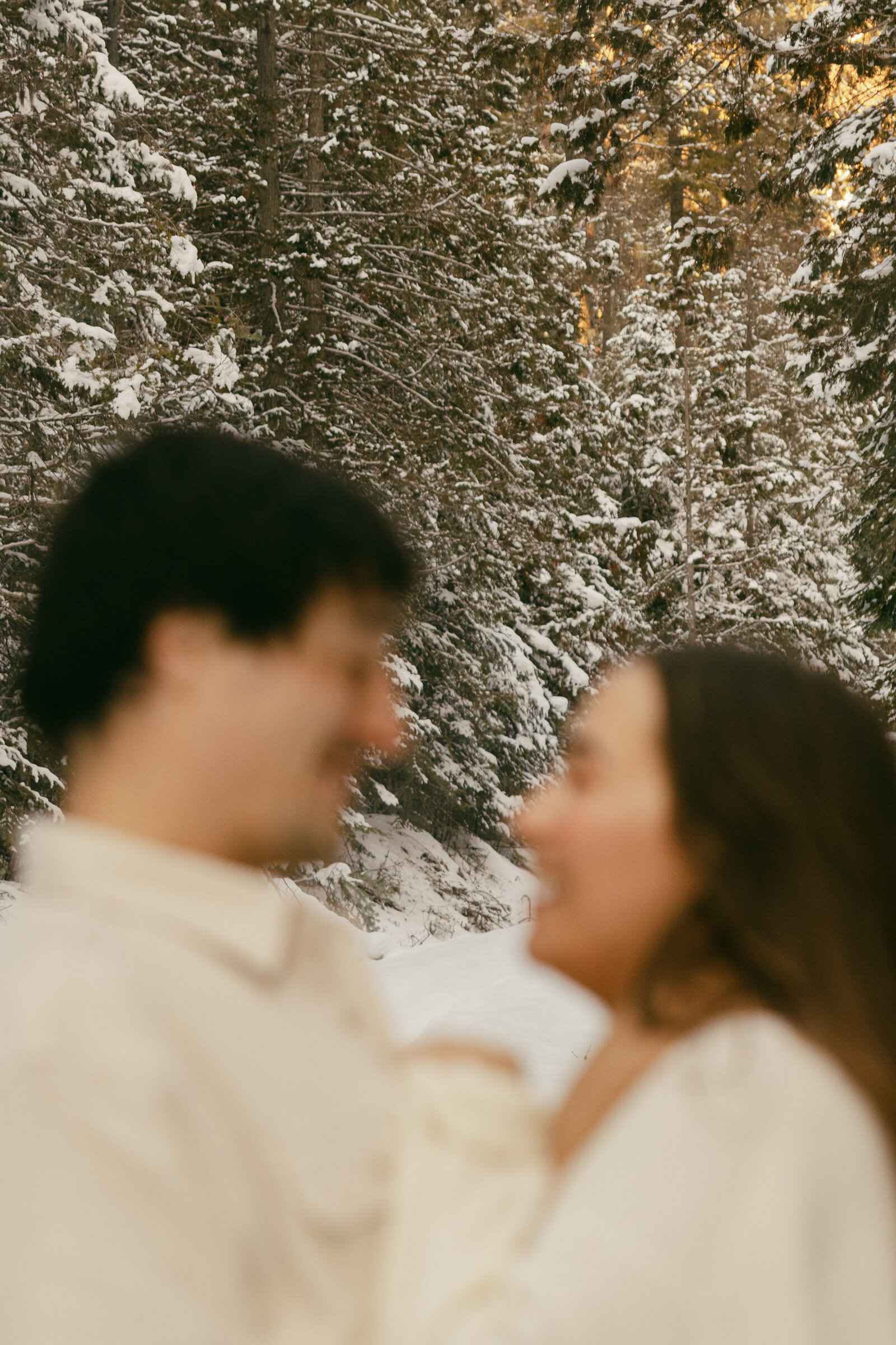 snowy trees in background