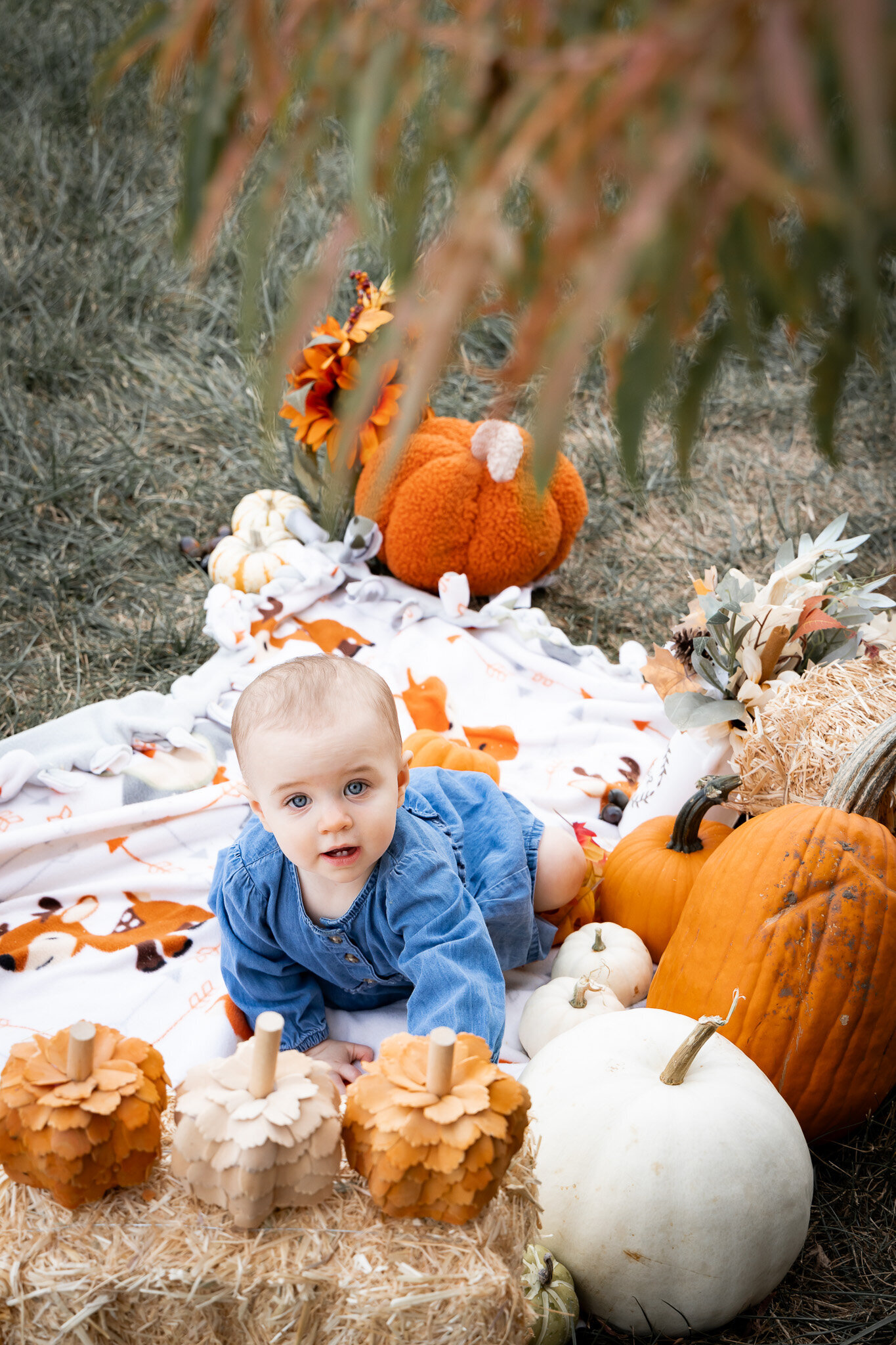 fall baby portrait in kansas city
