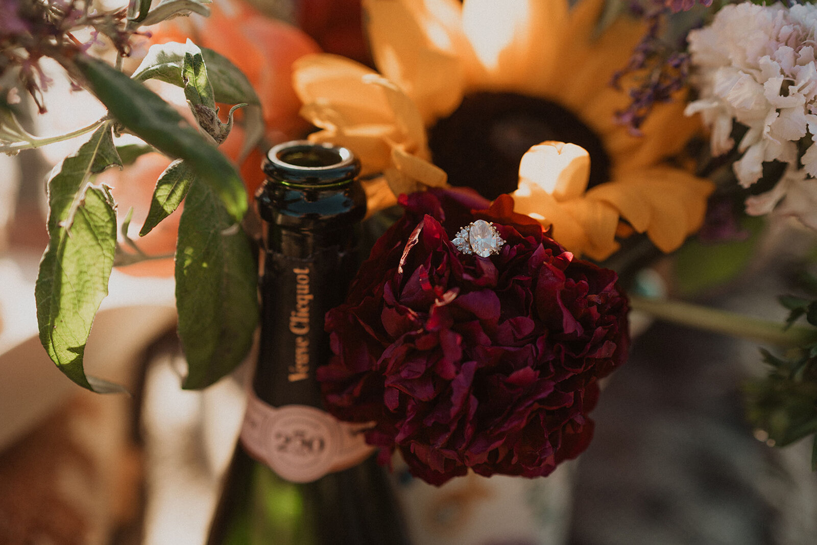 The Little Nell wedding proposal photos mountain in Aspen, Colorado