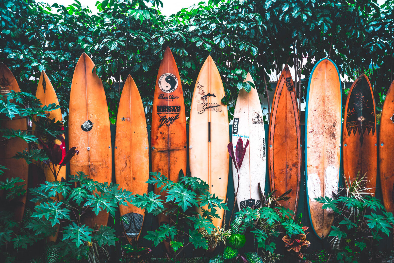 Girlboss-Designer-Travel-Tropical-44