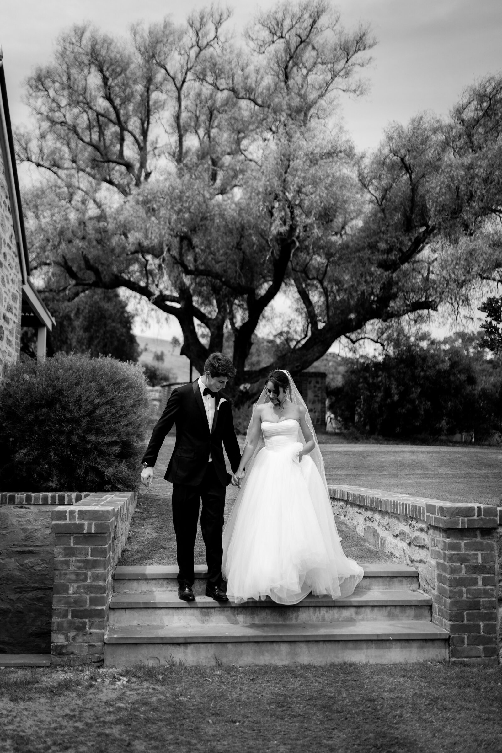 241102-Vanessa-Jacob-Rexvil-Photography-Adelaide-Wedding-Photographer-259