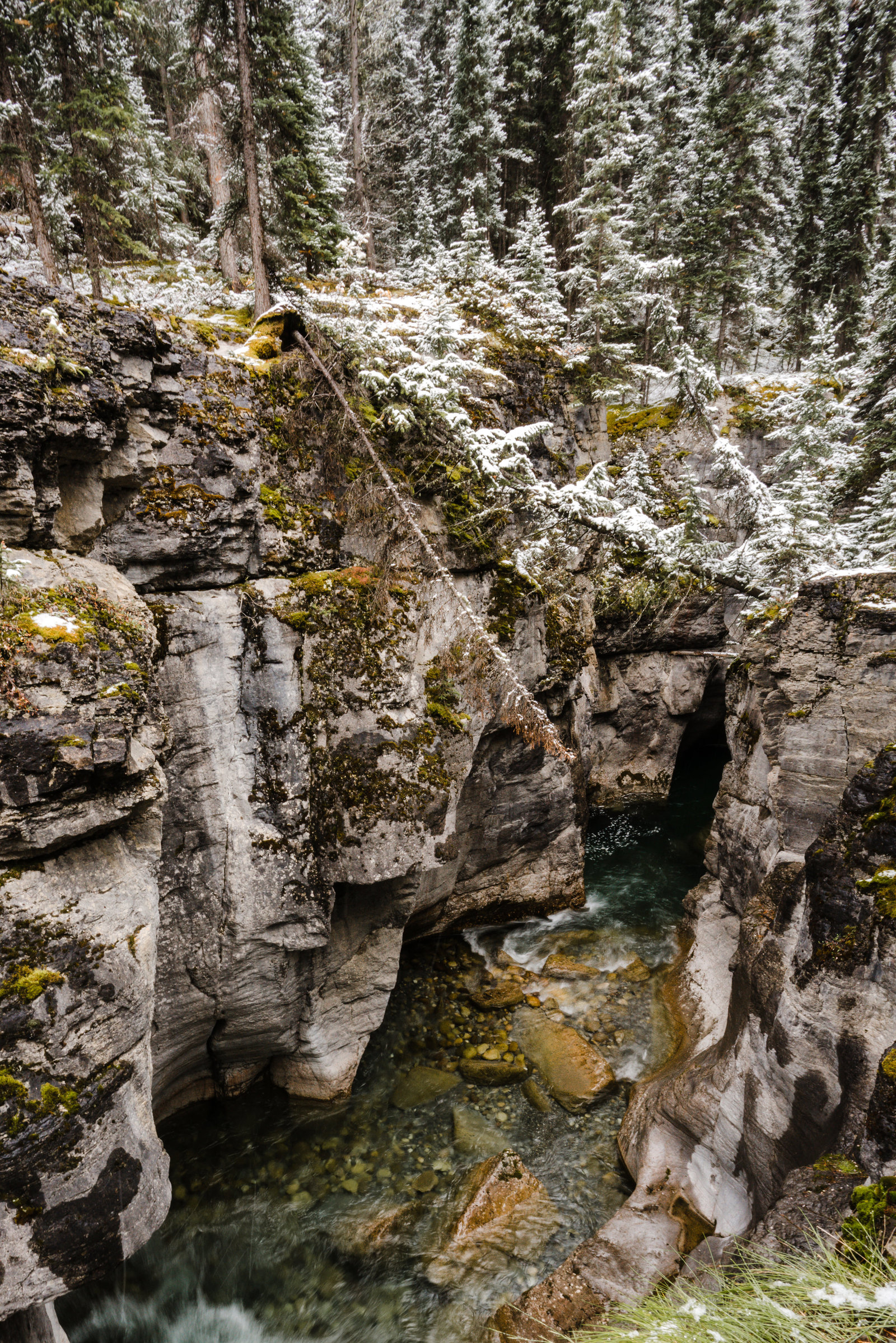 Banff_Jasper_National_Park_Sasha_Reiko_Photography-74
