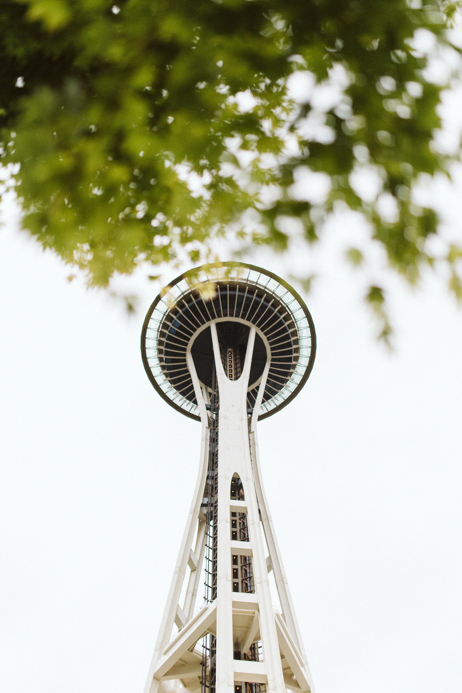 PNW Wedding & Elopement Photographer